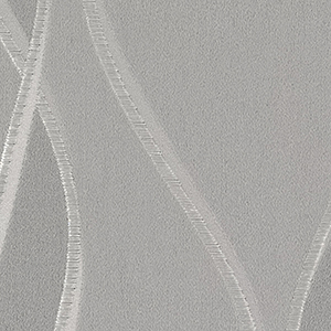 TKF11556
