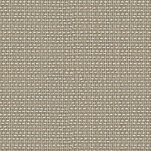 TKF11619