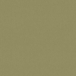 TKF30509