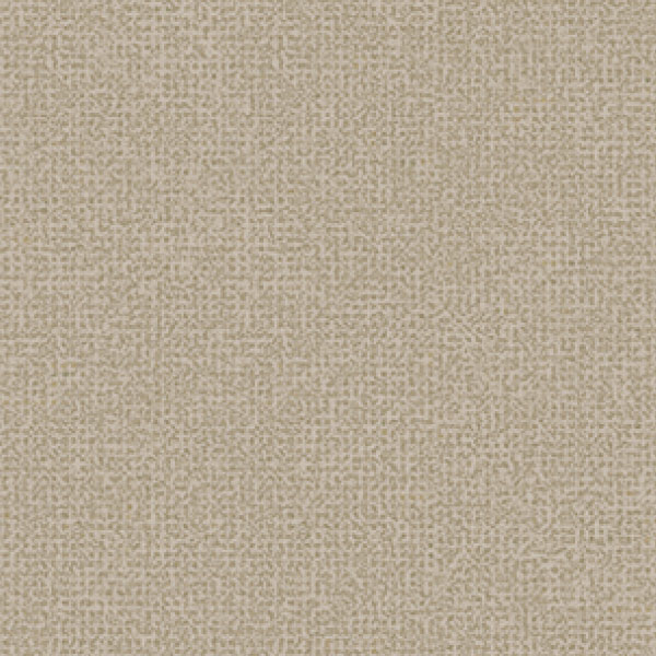 1CF3772_20241018_160518.jpg