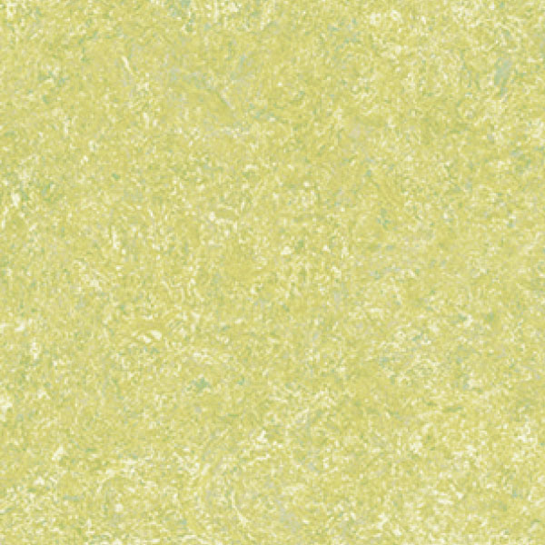 1TS2435_20241018_141507.jpg
