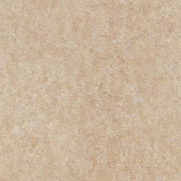 20FL629