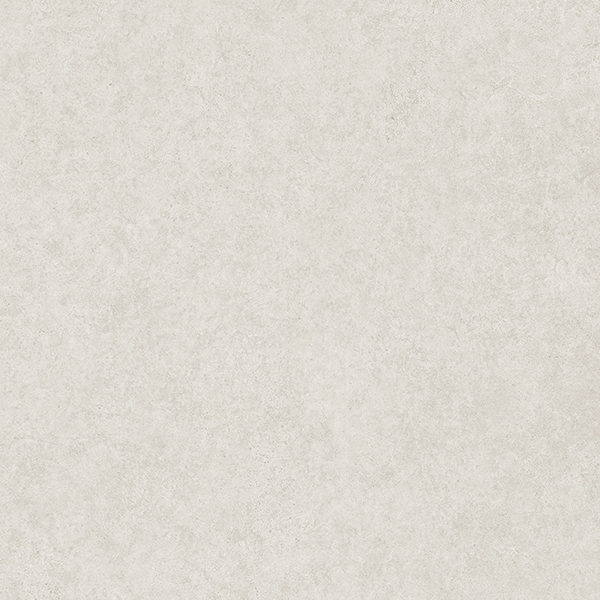 20FL801