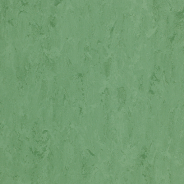 241_FPT2077_20241018_093006.jpg