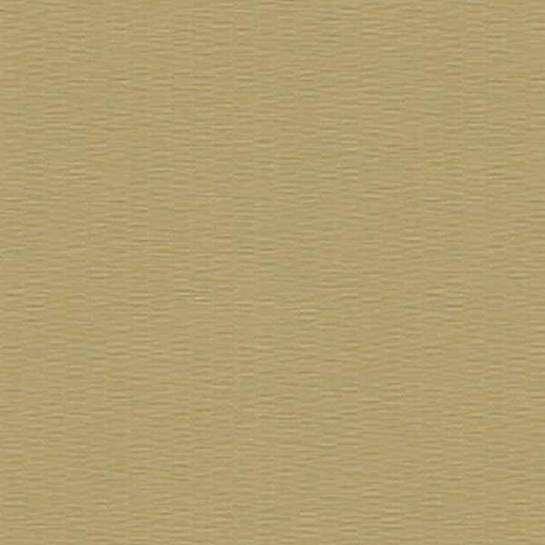CF3737_20240723_111627.jpg