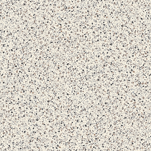 CF3761_20240723_112334.jpg