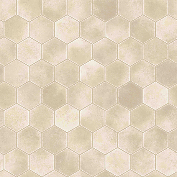 CF3764_20240723_112422.jpg