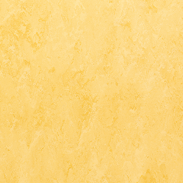 FPT2022_20241018_091958.jpg