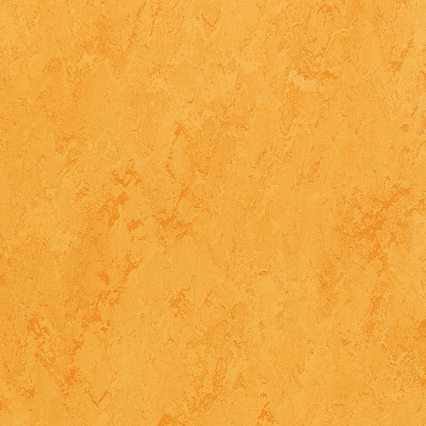 FPT2025_20241018_092048.jpg