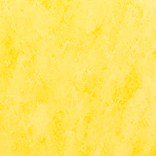FPT2028_20241018_092056.jpg