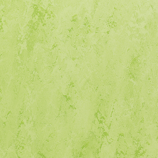 FPT2031_20241018_092104.jpg