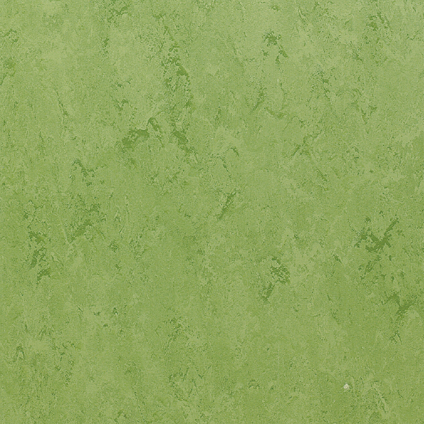 FPT2032_20241018_092111.jpg
