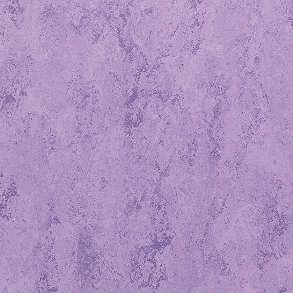 FPT2037_20241018_092154.jpg