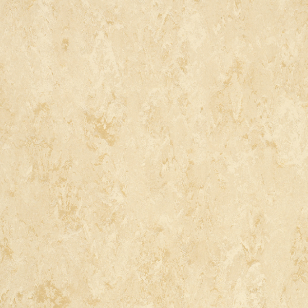 FPT2042_20241018_092252.jpg