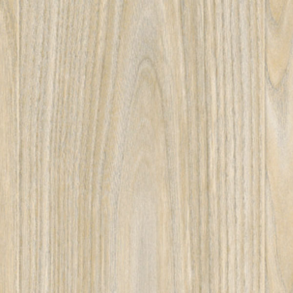 FS42081_20241018_133044.jpg