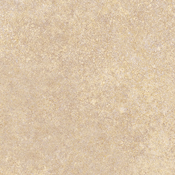 FS42691_20241018_134511.jpg