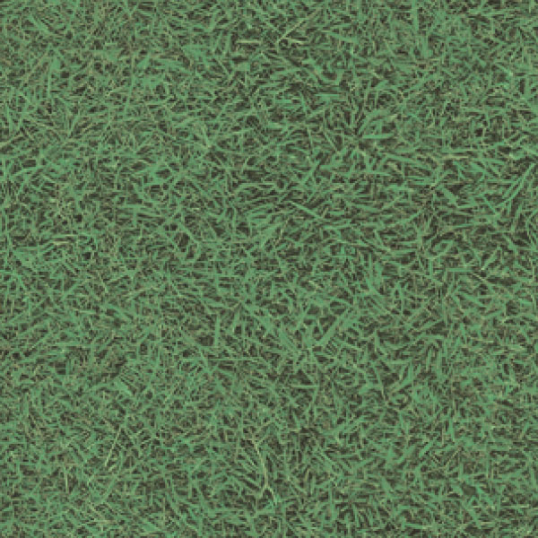 FS42771_20241018_134708.jpg