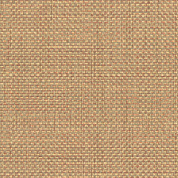 FS42851_20241018_134836.jpg