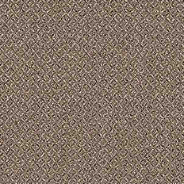 NS160813_20241205_103320.jpg