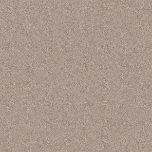 NS4405_20220727_110925.jpg