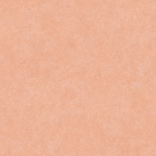 NS4802_20220727_111130.jpg