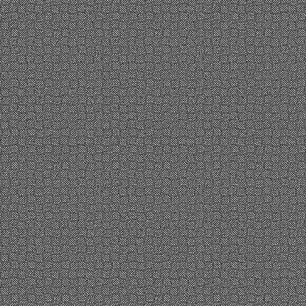 NS811_20241205_103502.jpg