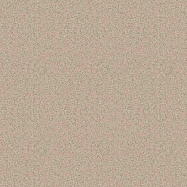 NS815_20241205_103516.jpg