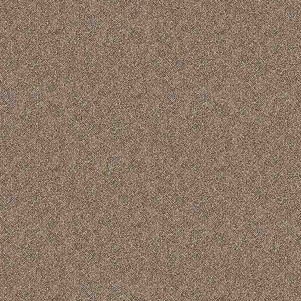 NS866_20241205_103648.jpg