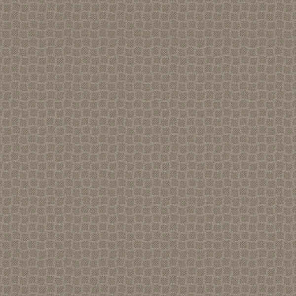 NS8902_20241205_103918.jpg