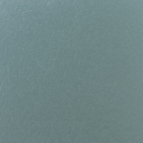 PL2558_20191011_164017.jpg
