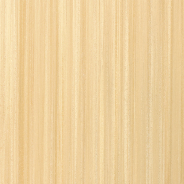 RFT7004_20241018_093559.jpg