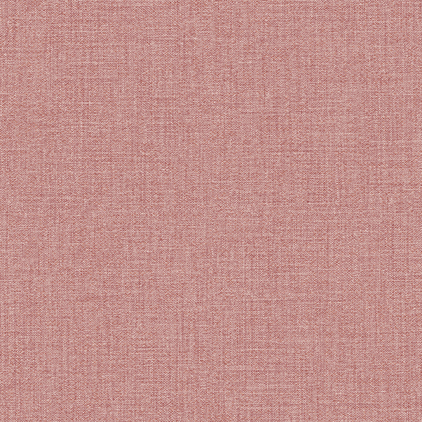 TS2419