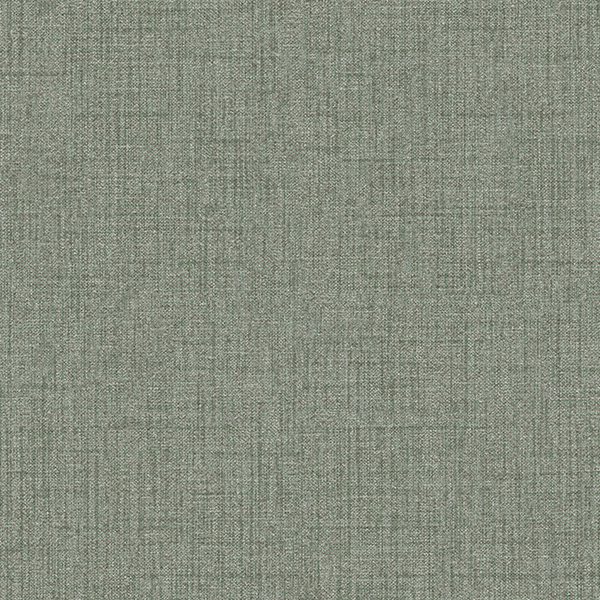 TS2421