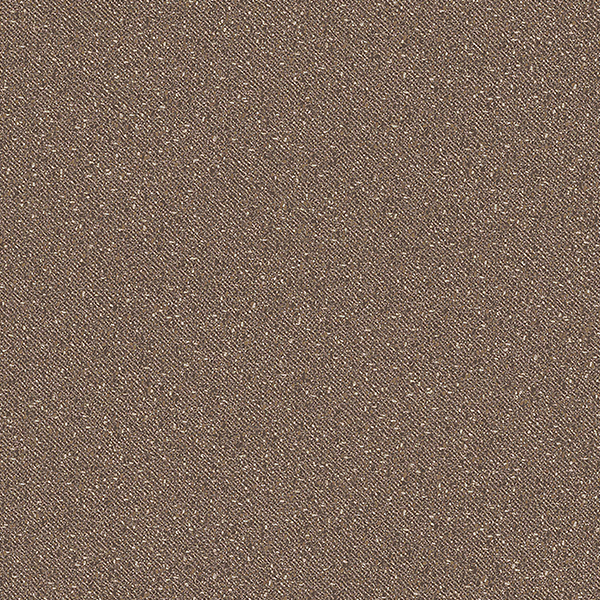 TS2429