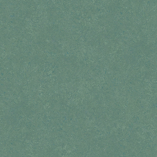 TS2436