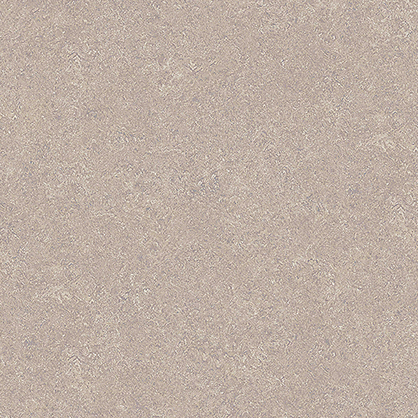 TS2438