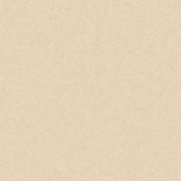 TS8532_20231108_092605.jpg