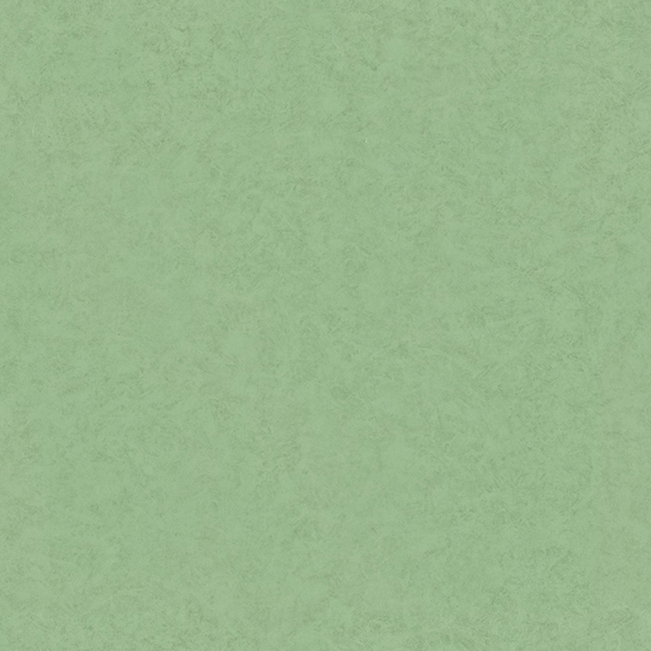 TS8534_20231108_092615.jpg