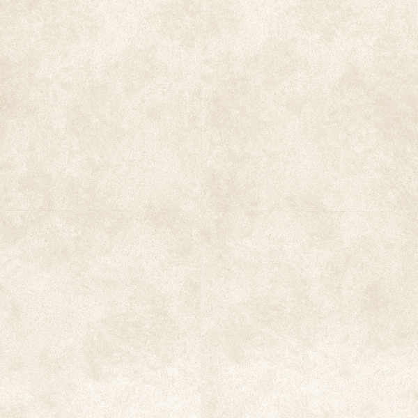 TTN7006_20241018_101930.jpg