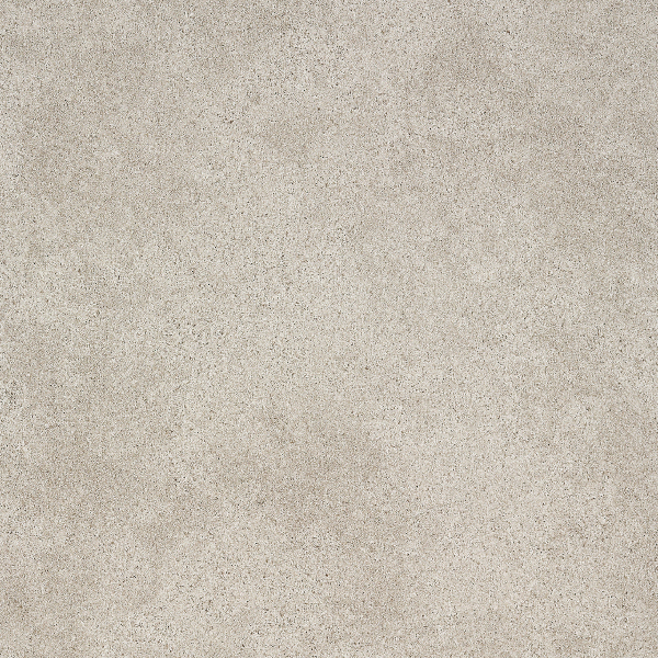 TTN7007_20241018_101937.jpg