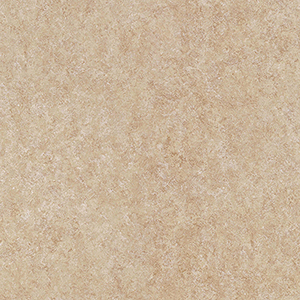 20FL629