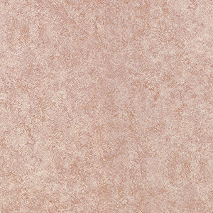 20FL631