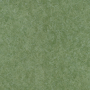 20FL634