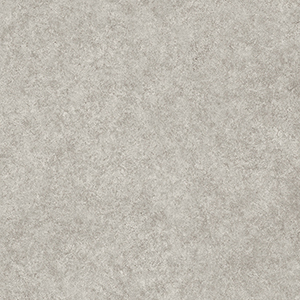 20FL802