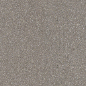 20FL904