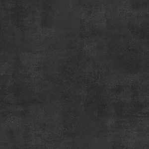 FS4244