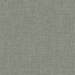 TS2421