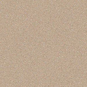 TS2428
