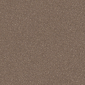 TS2429