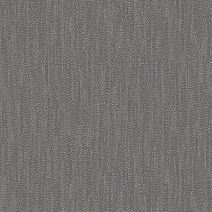 TS2431